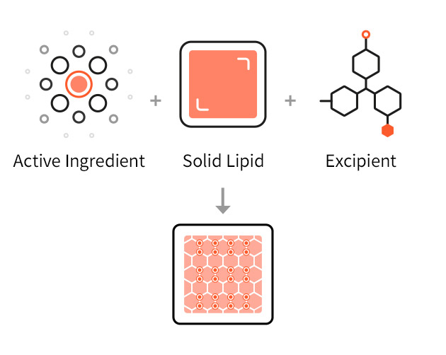 Active Ingredient+Solid Lipid+Excipient=Nano Dispersion in Solid Lipid