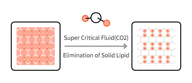 Super Critical Fluid(CO2) Elimination of Solid Lipid